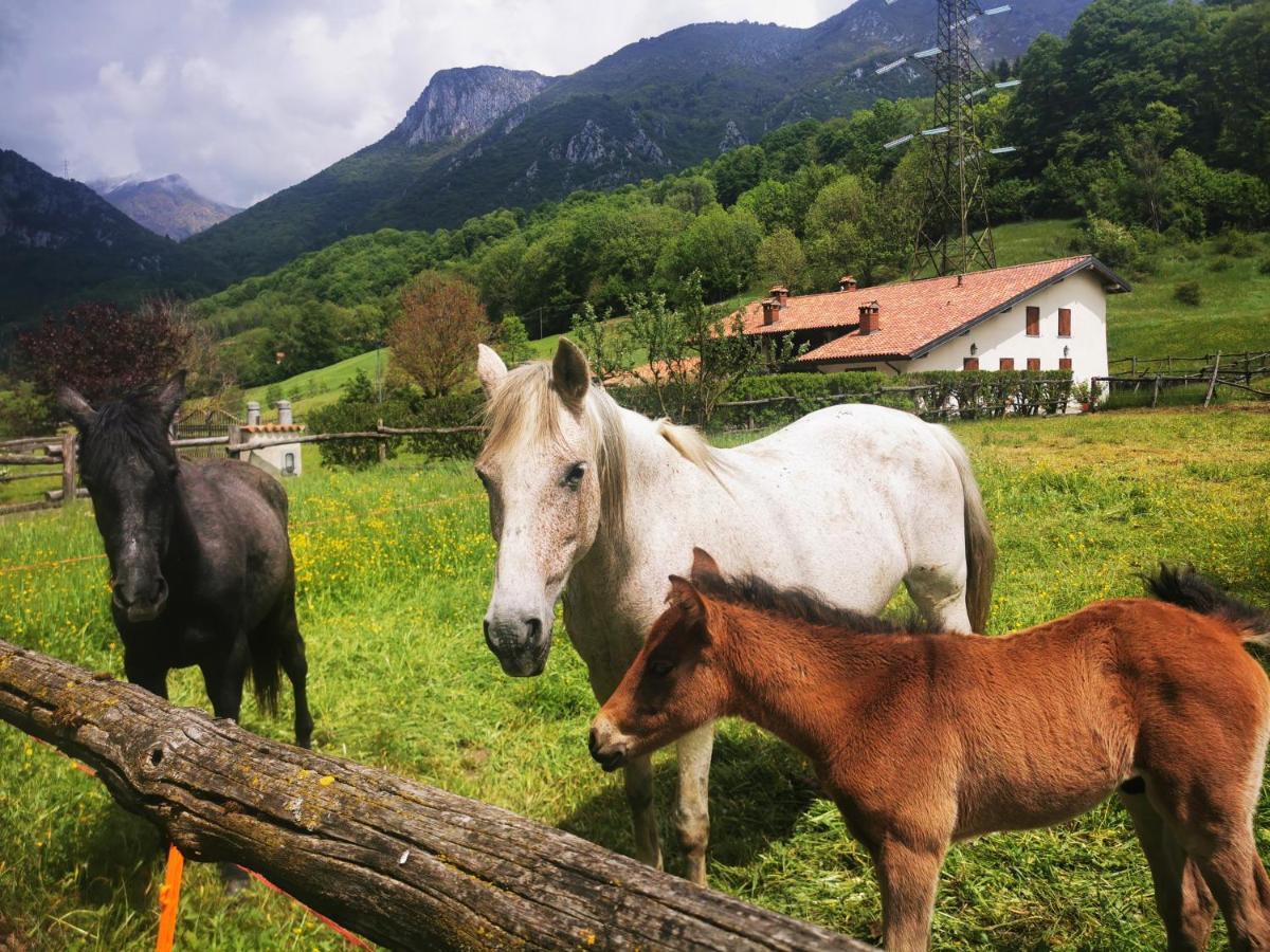 Dimora San Lorenzo Maggio Экстерьер фото