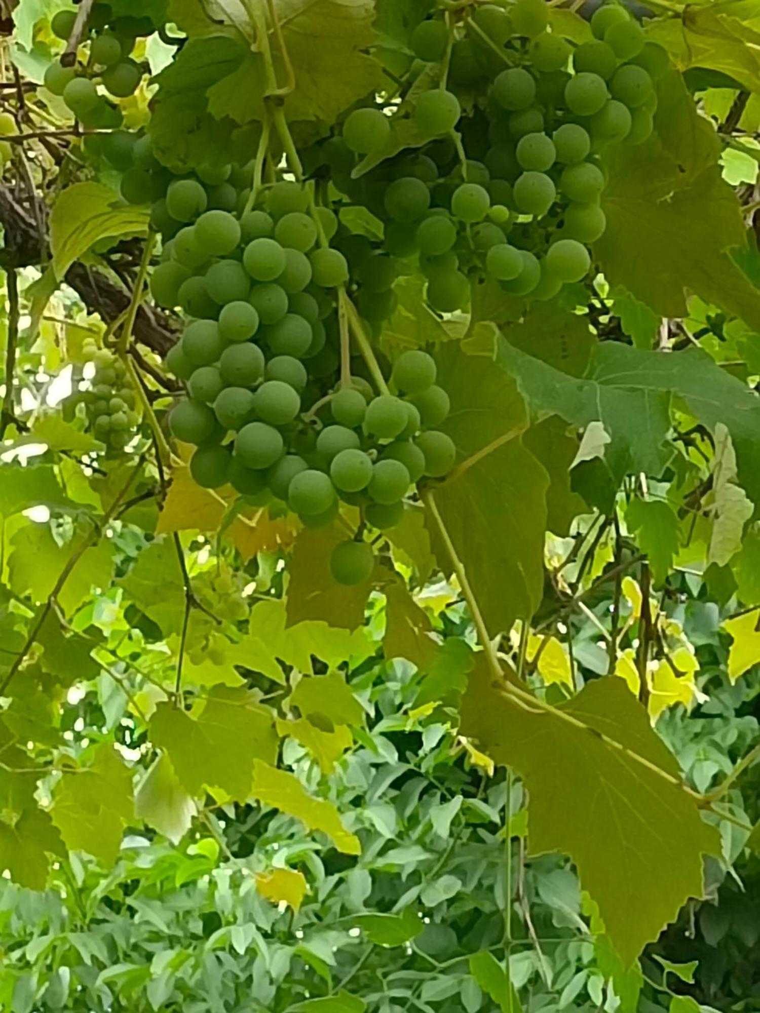 Dimora San Lorenzo Maggio Номер фото